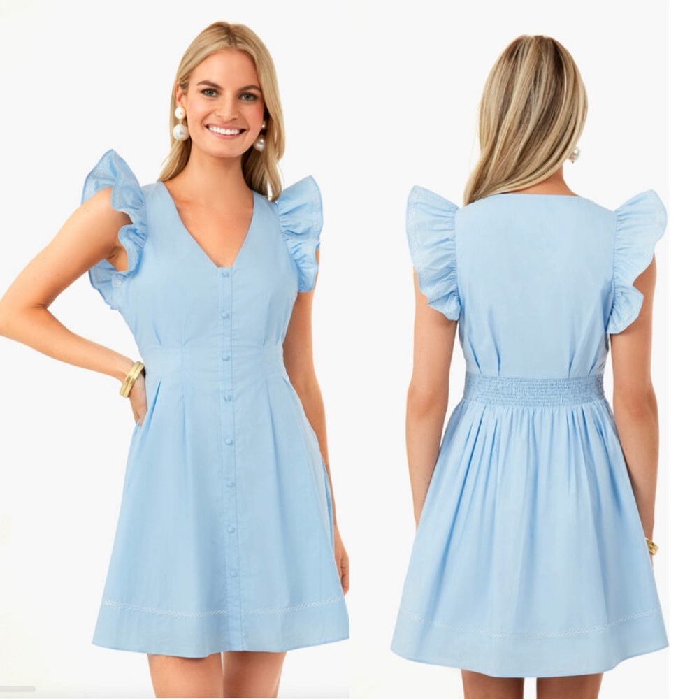 Chic Light Blue Ruffle Sleeve Mini Dress